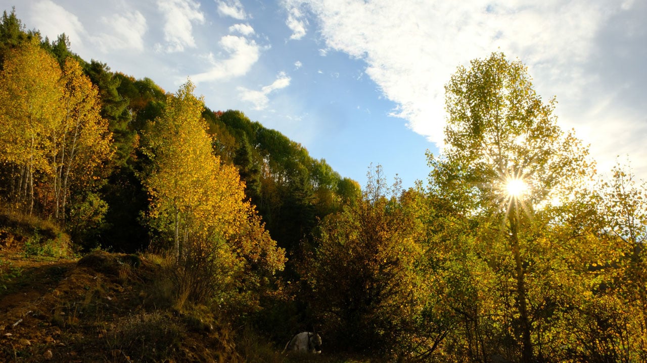 Foto - Gümüşhane’de büyüleyen mevsim geçişi! Göz kamaştıran manzara