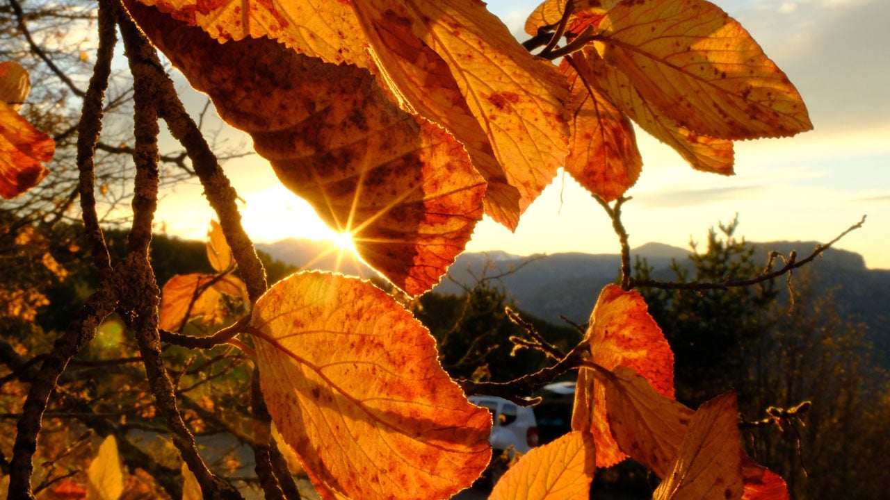 Foto - Gümüşhane’de büyüleyen mevsim geçişi! Göz kamaştıran manzara