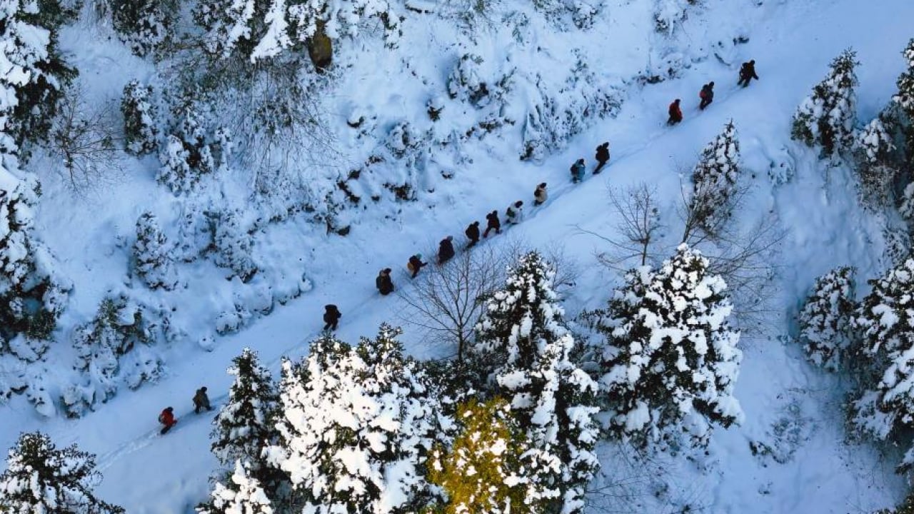 Foto - Gümüşhane'de stresini atmak isteyenler Torul’un zirvelerine tırmandı