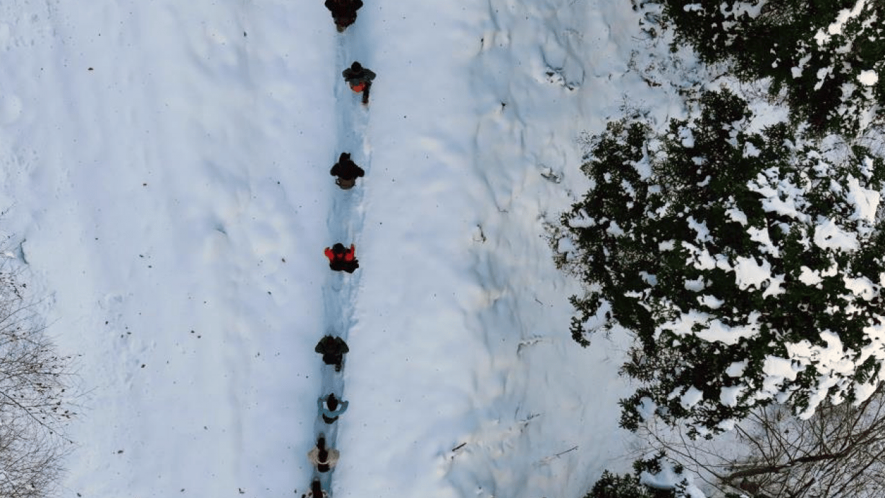 Gümüşhane'de stresini atmak isteyenler Torul’un zirvelerine tırmandı