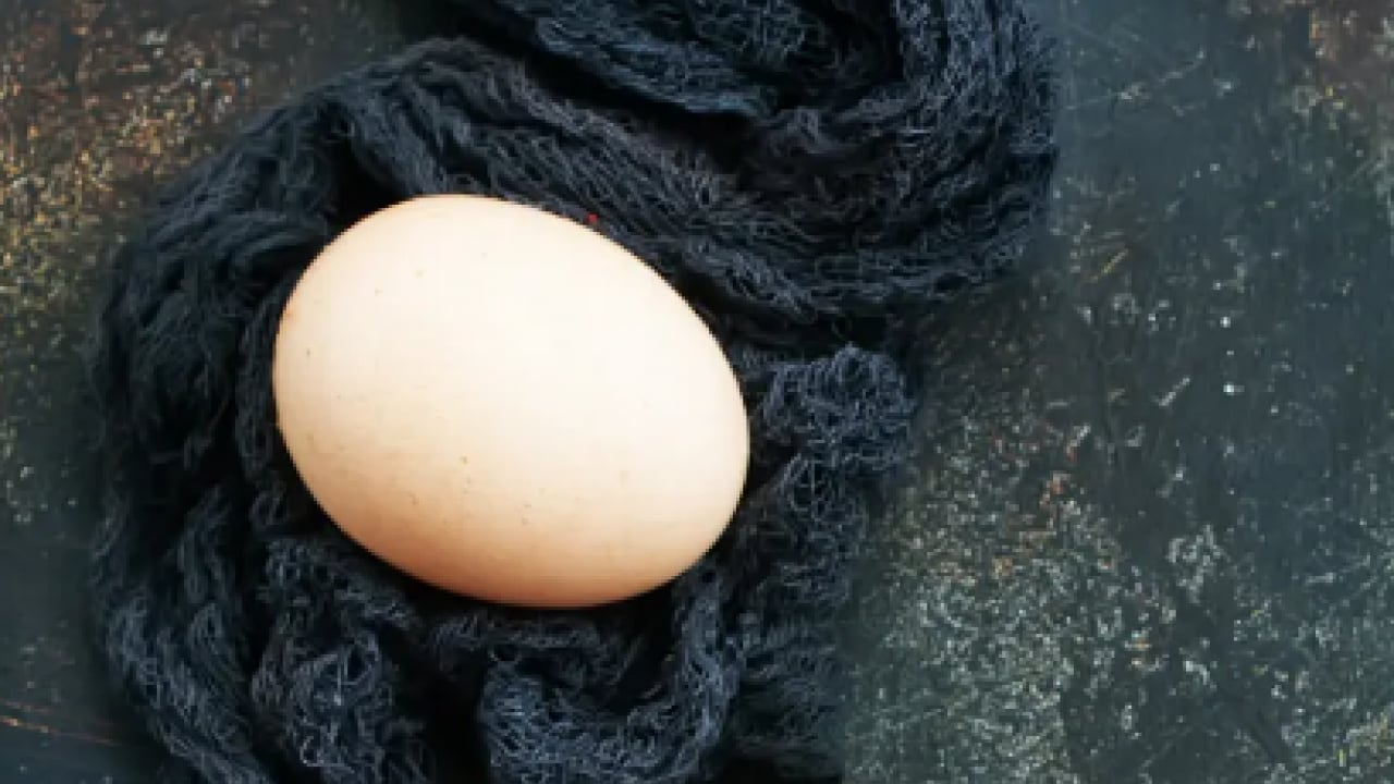 Foto - Günde 1- 2 yumurta yerseniz: Kalsiyumun merkezi... Yumurtanın faydaları neler?