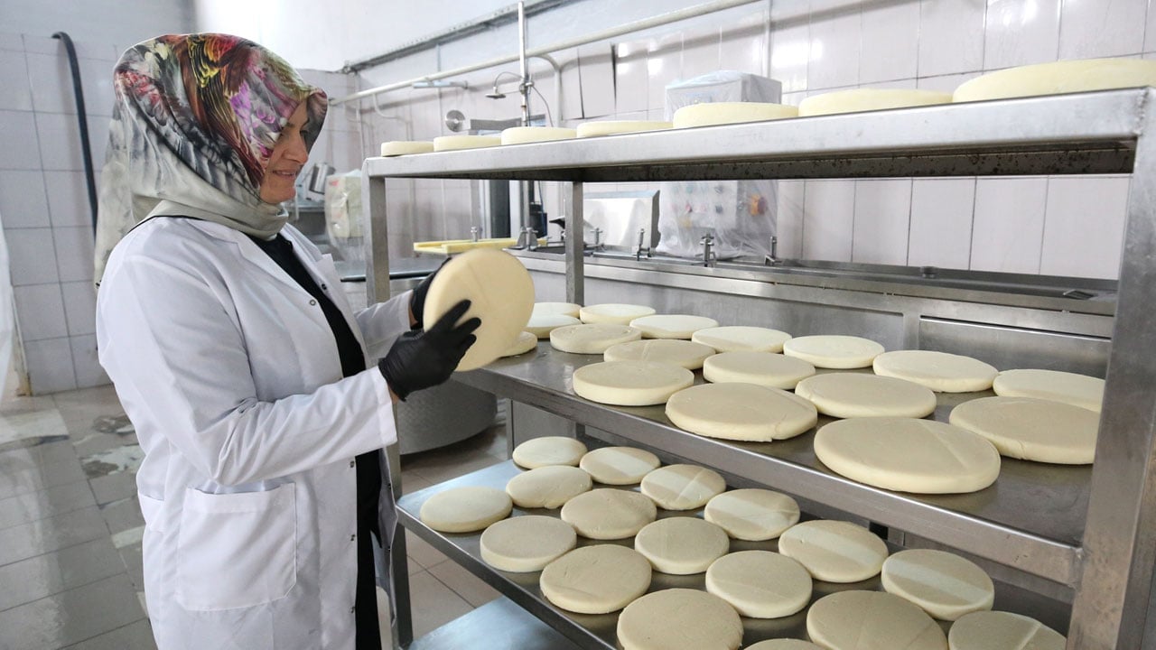 Foto - Günde 10 ton süt işliyor! Devlet desteğiyle hayalini üretime dönüştürdü