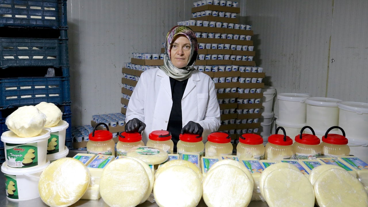 Günde 10 ton süt işliyor! Devlet desteğiyle hayalini üretime dönüştürdü