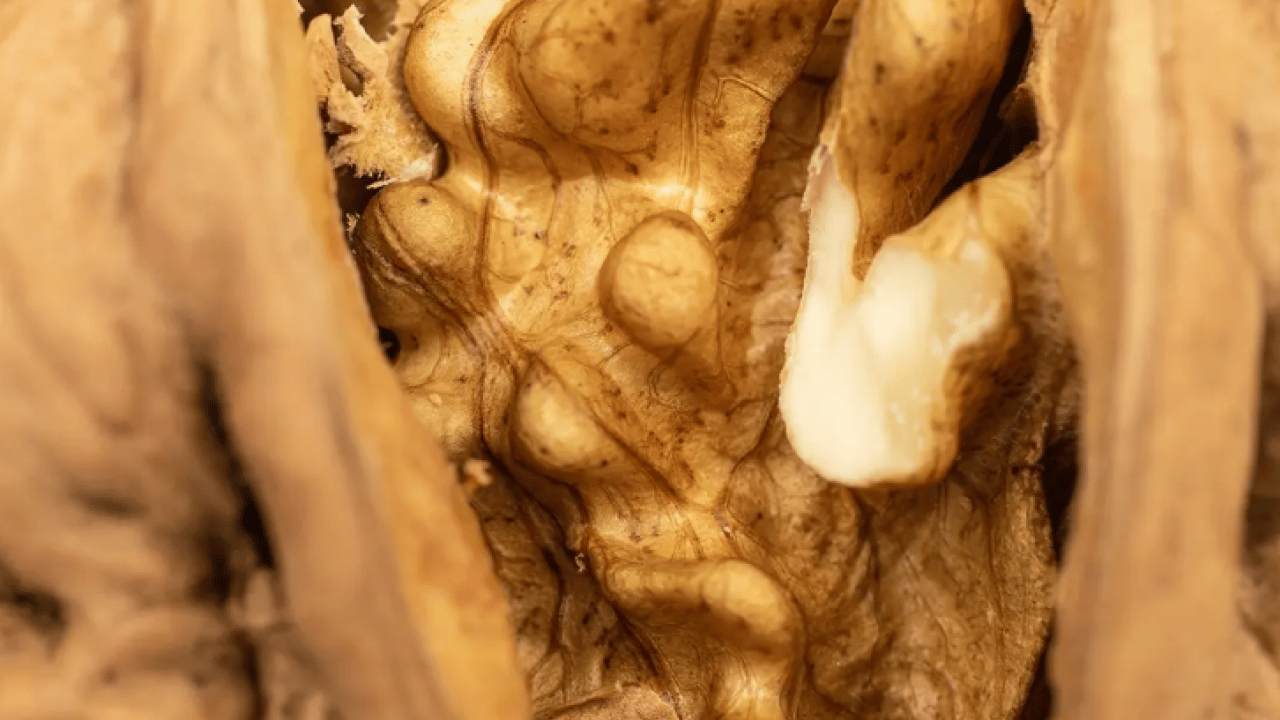 Sabah aç karnına iki tane tüketin: İşte Karaciğere en iyi gelen besin !