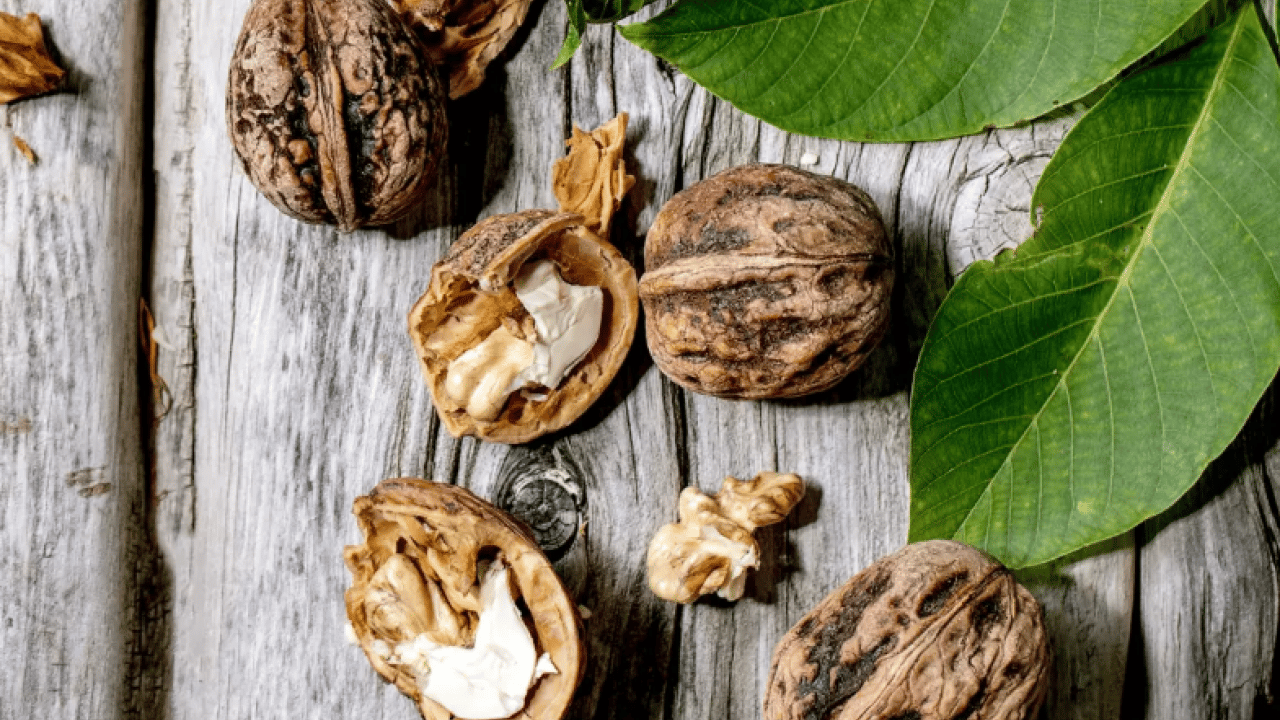 Foto - Günde 3 tane tüketin: Kronik hastalıklara geçit vermiyor!