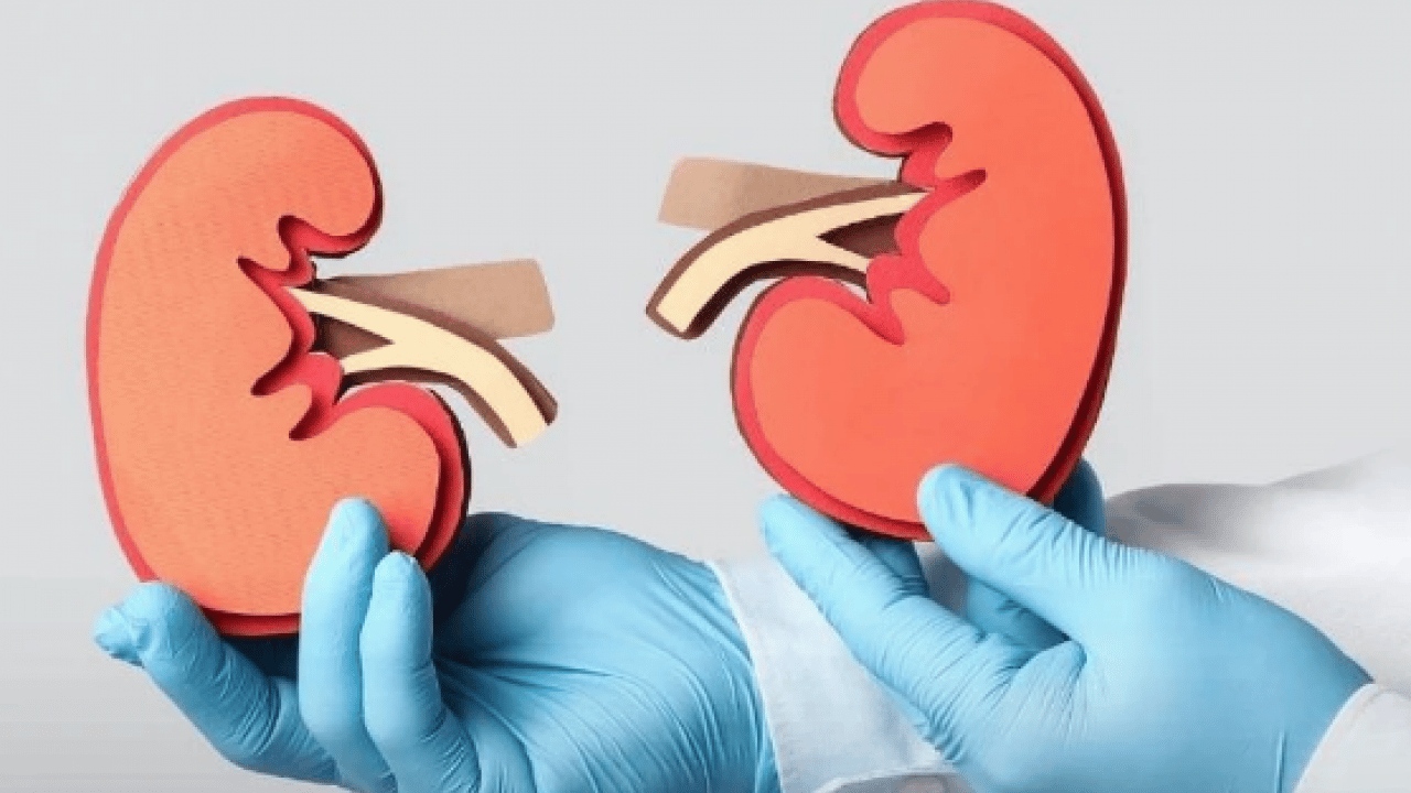 Foto - Günde 4-6 bardak çay veya 3-5 fincan kahve... Uzmana kulak vermek zorundasınız...