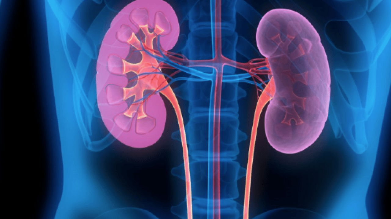 Foto - Günde 4-6 bardak çay veya 3-5 fincan kahve... Uzmana kulak vermek zorundasınız...