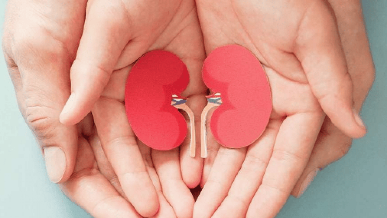 Foto - Günde 4-6 bardak çay veya 3-5 fincan kahve... Uzmana kulak vermek zorundasınız...