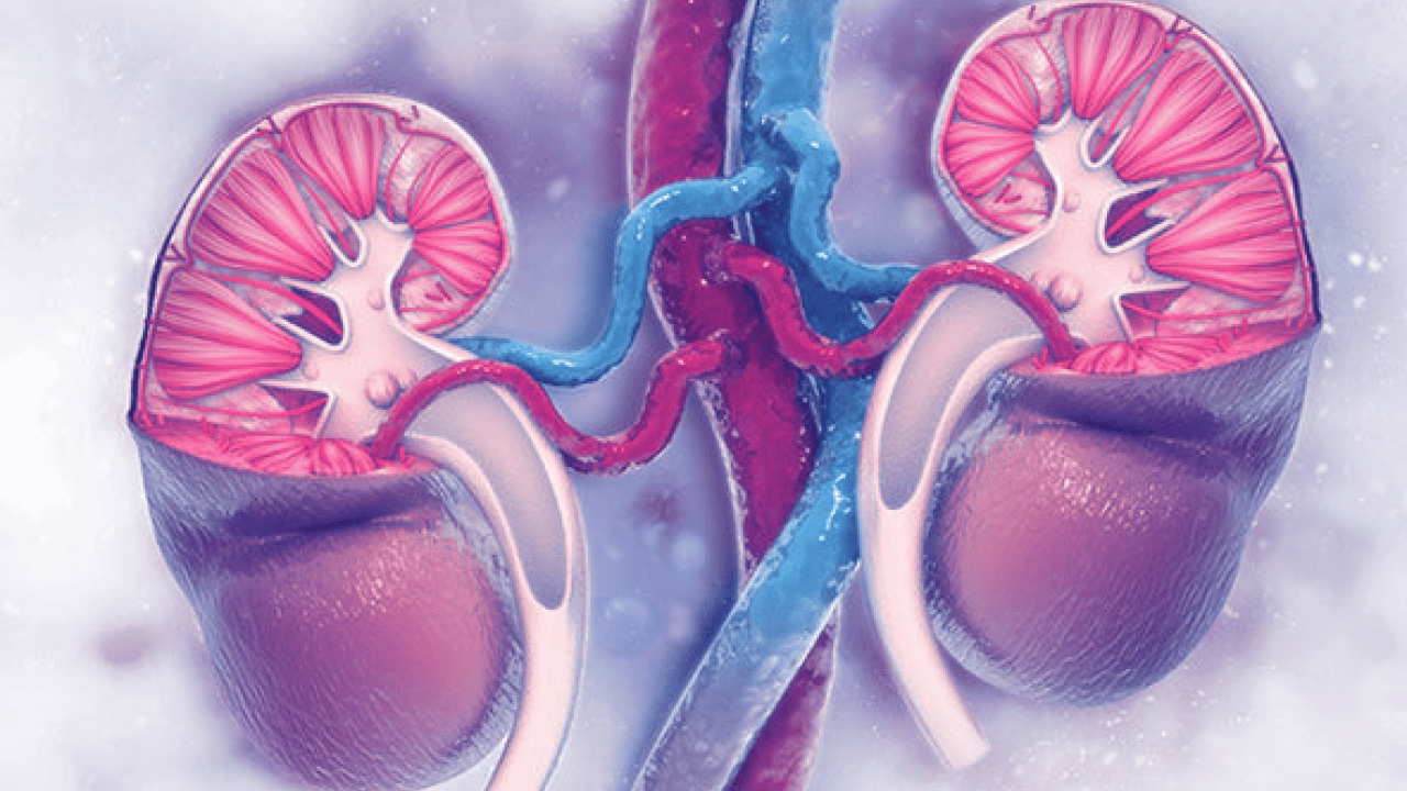 Foto - Günde 4-6 bardak çay veya 3-5 fincan kahve... Uzmana kulak vermek zorundasınız...