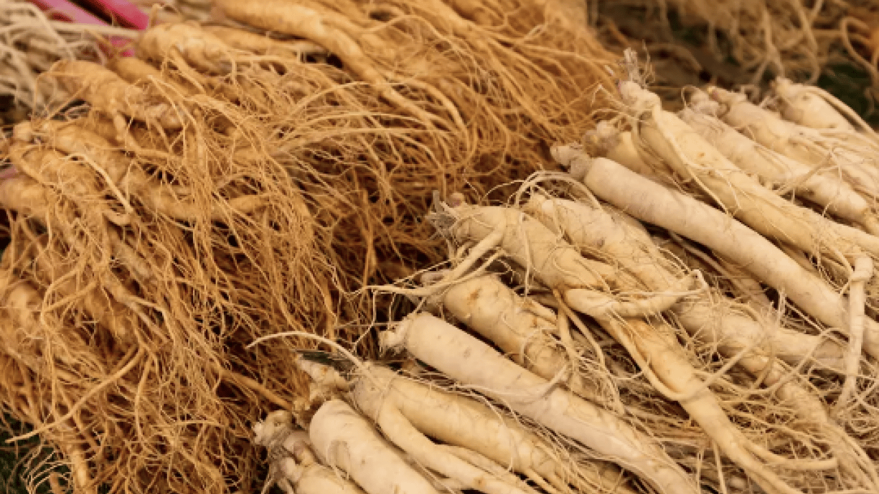 Foto - Günde 50-100 tel... İşte saçı hızlı uzatan 10 doğal saç bakım önerisi