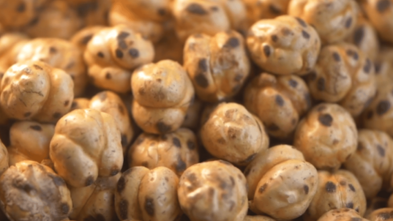 Günde bir avuç leblebi tüketin: Meğer nelere yarıyormuş!