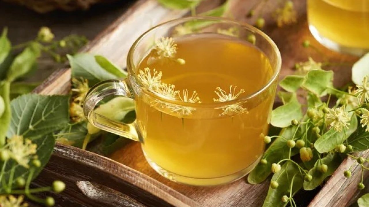 Foto - Günde bir bardakla şifa dolu! Ihlamurun mucizevi etkisi