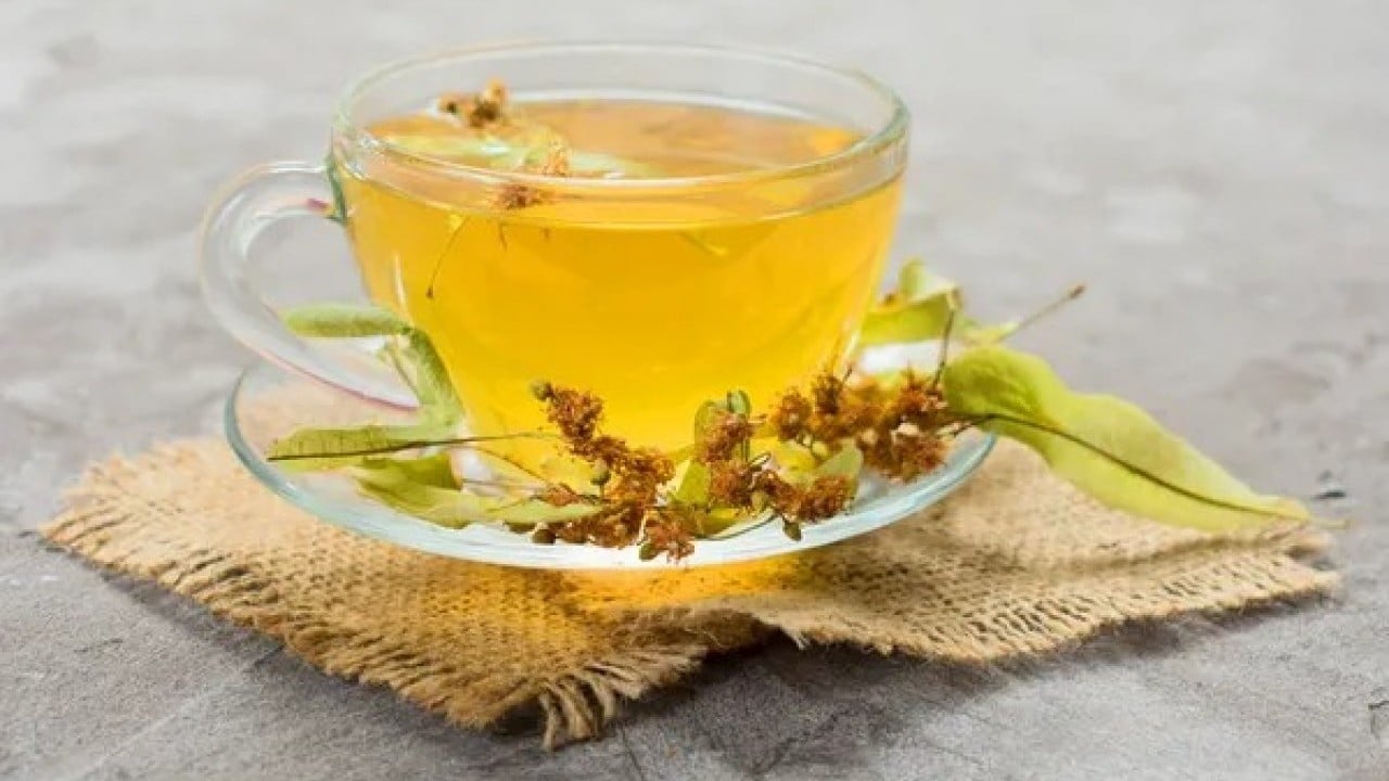 Foto - Günde bir bardakla şifa dolu! Ihlamurun mucizevi etkisi