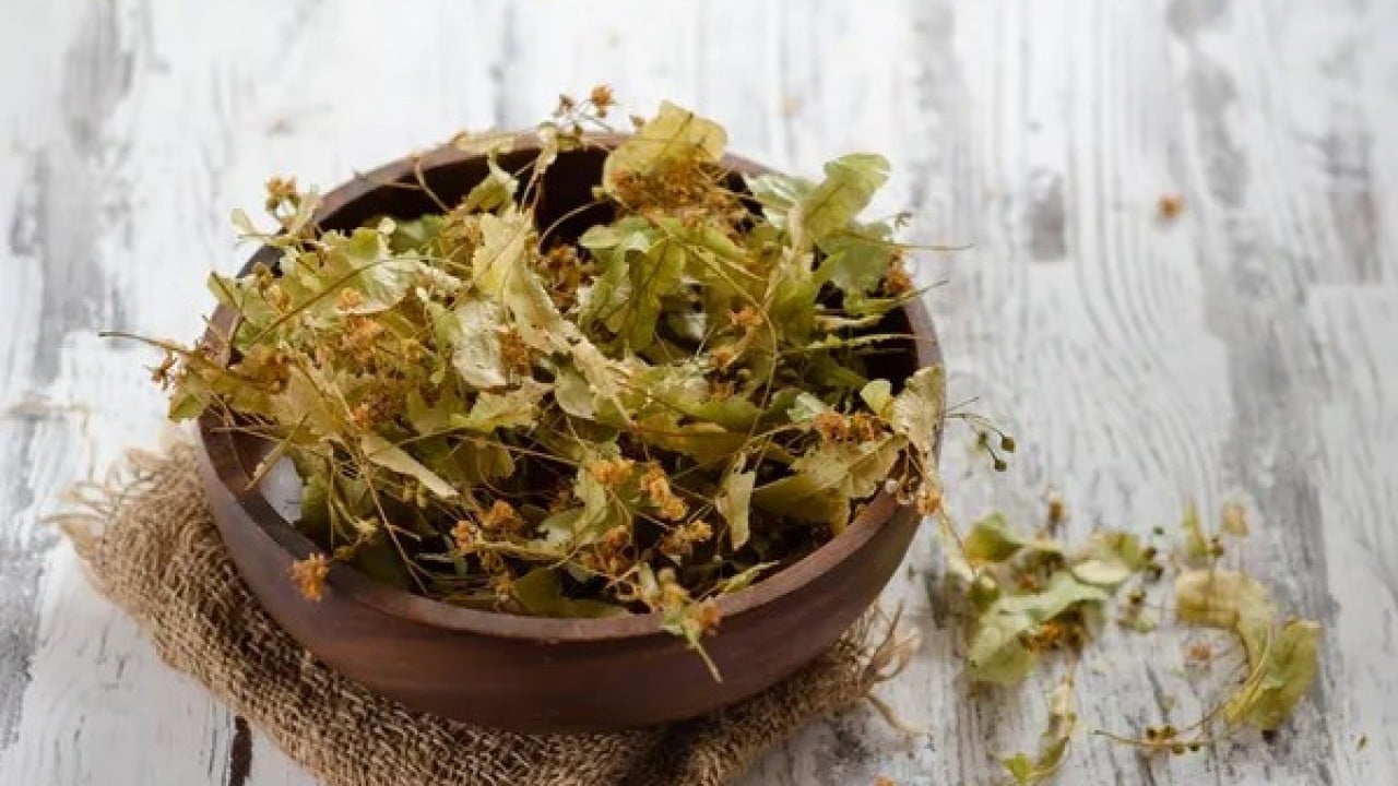 Foto - Günde bir bardakla şifa dolu! Ihlamurun mucizevi etkisi