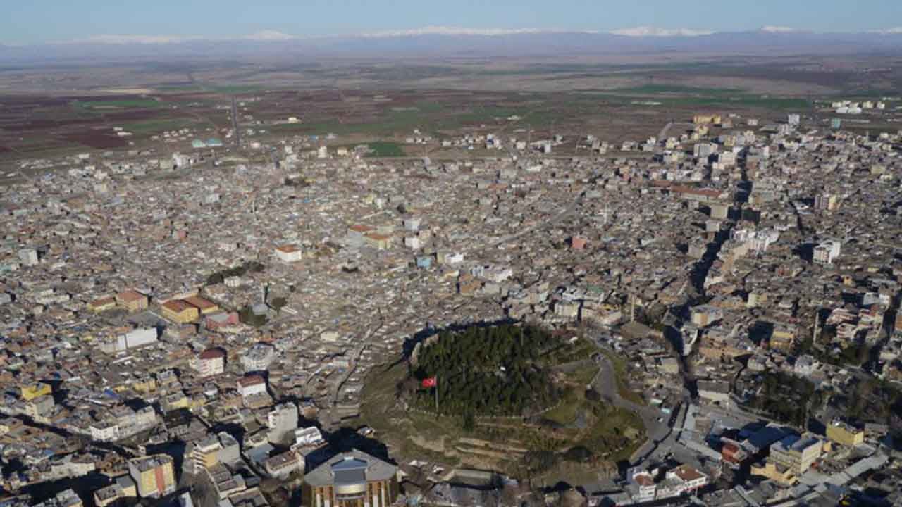 Foto - Gündem olan gelişme: O büyükşehrimizde bir tane bile başıboş sokak köpeği kalmadı