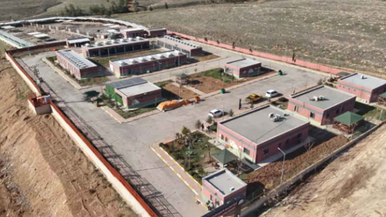 Foto - Gündem olan gelişme: O büyükşehrimizde bir tane bile başıboş sokak köpeği kalmadı