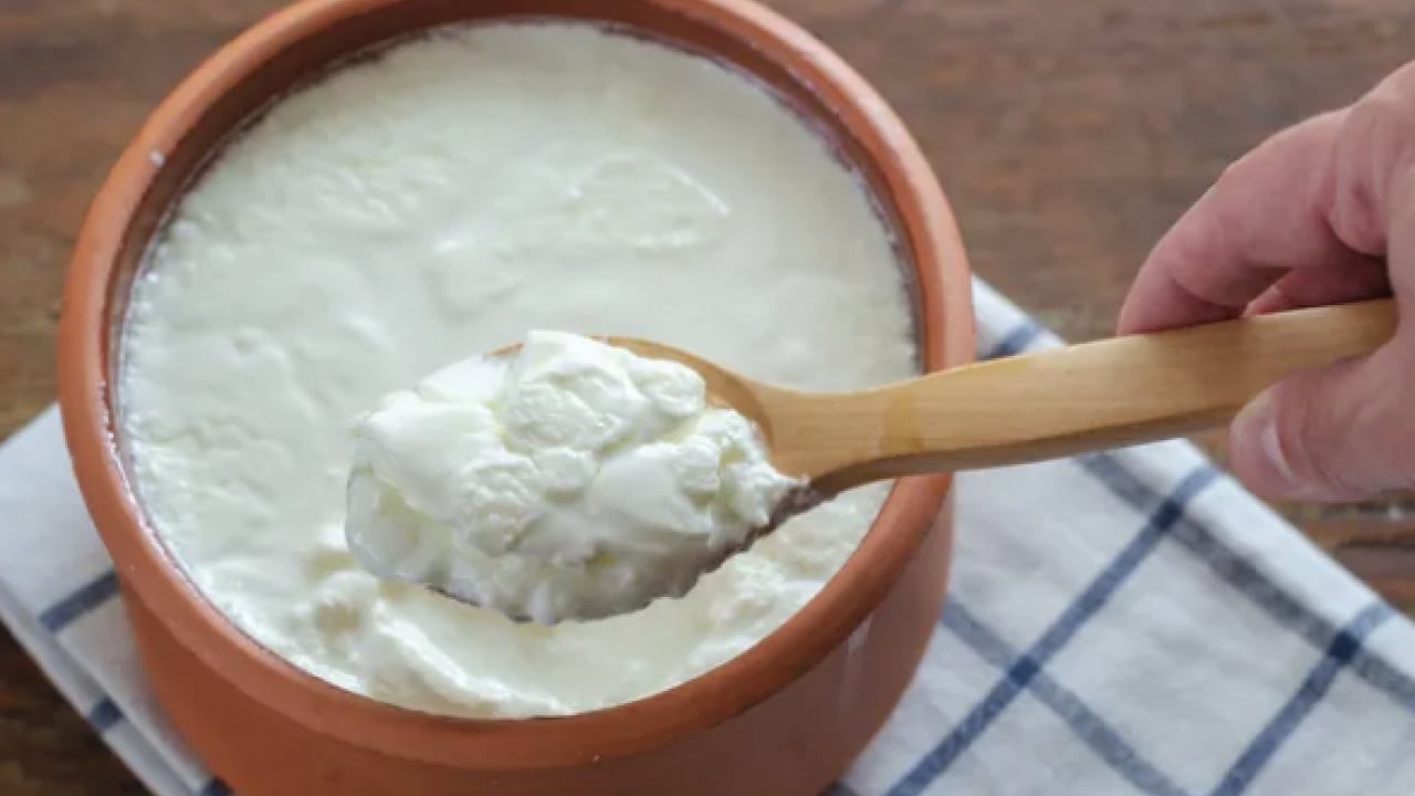 Foto - Gündeme oturacak sır ortaya çıktı... Taş gibi yoğurt mayalamak için mayaya gerek yokmuş!