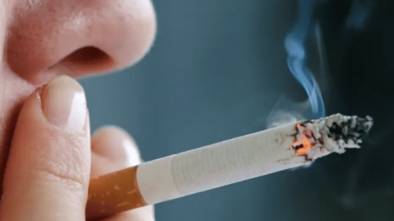 Foto - Gündemi sarsacak açıklama: Maraş otu masum değil: 8 Paket sigaraya bedel