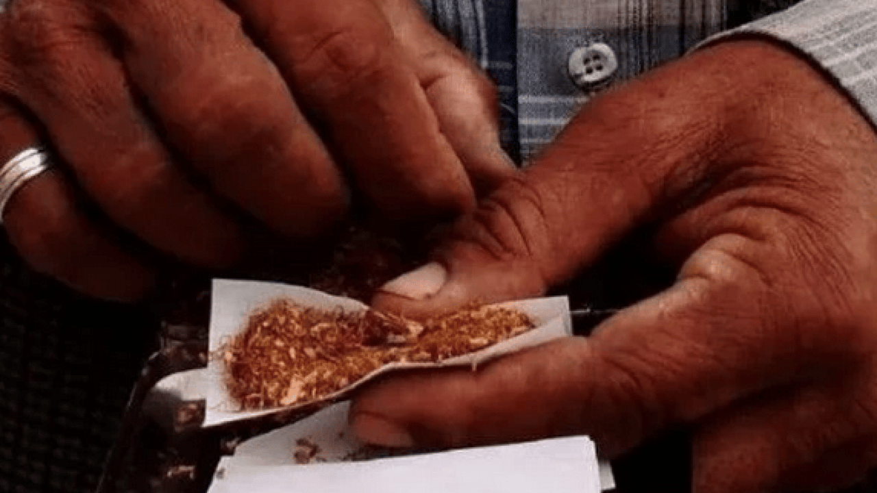 Foto - Gündemi sarsacak açıklama: Maraş otu masum değil: 8 Paket sigaraya bedel