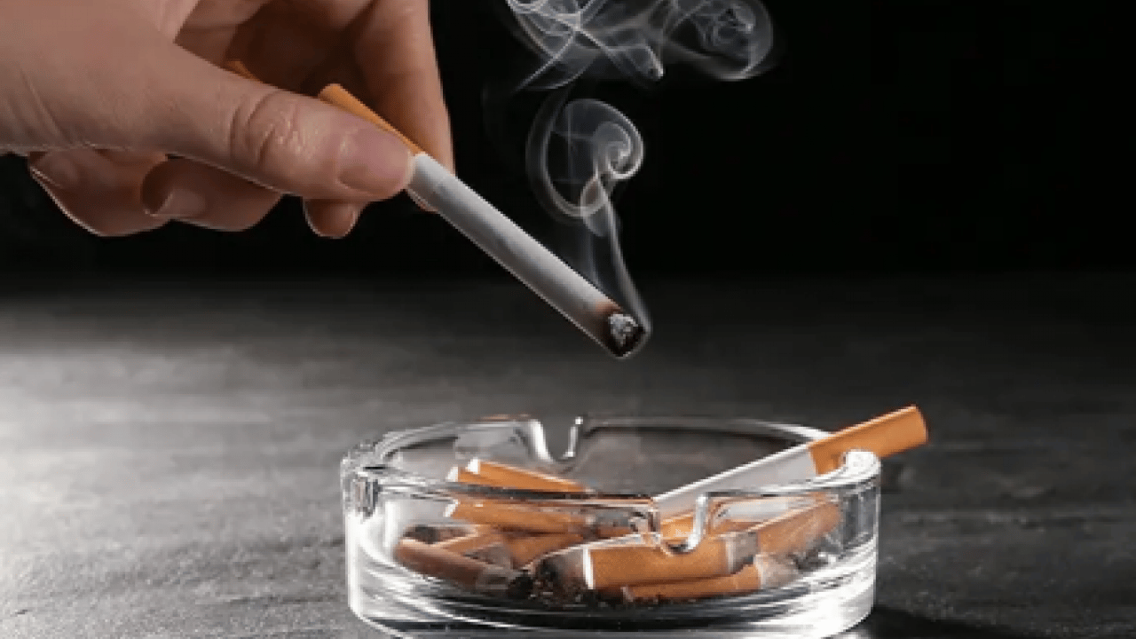 Foto - Gündemi sarsacak açıklama: Maraş otu masum değil: 8 Paket sigaraya bedel