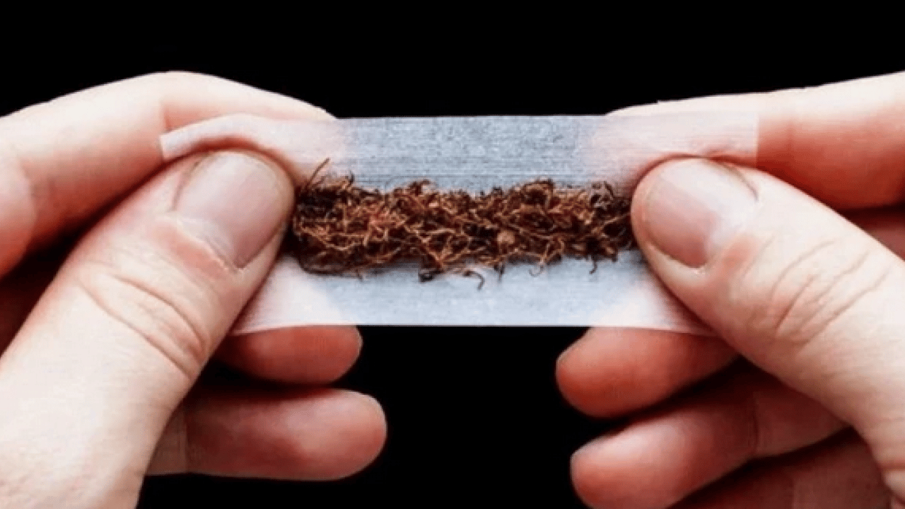 Gündemi sarsacak açıklama: Maraş otu masum değil: 8 Paket sigaraya bedel