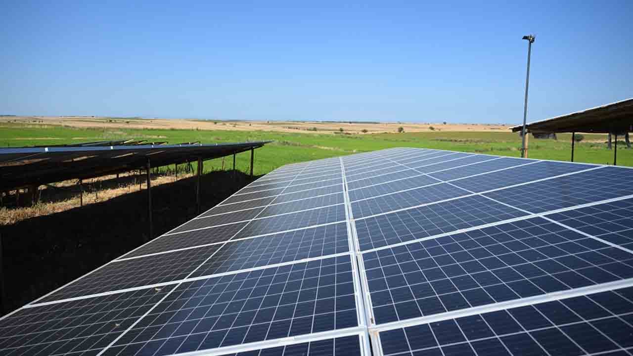 Foto - Güneş enerjisi can suyu oldu... Çiftçi tarlayı güneşle suladı, kazancını katladı!
