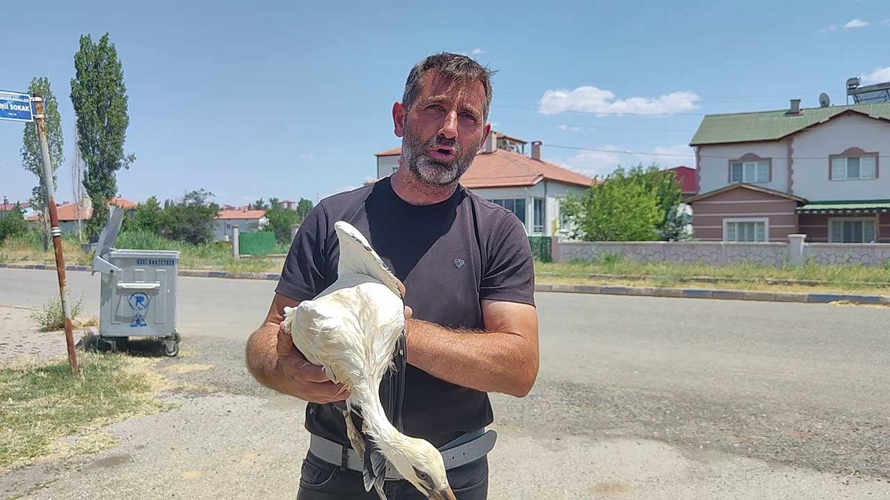Foto - Güneşin altında bitkin düştü! Aşırı sıcaklardan bayılan leyleğe itfaiye eli uzandı!