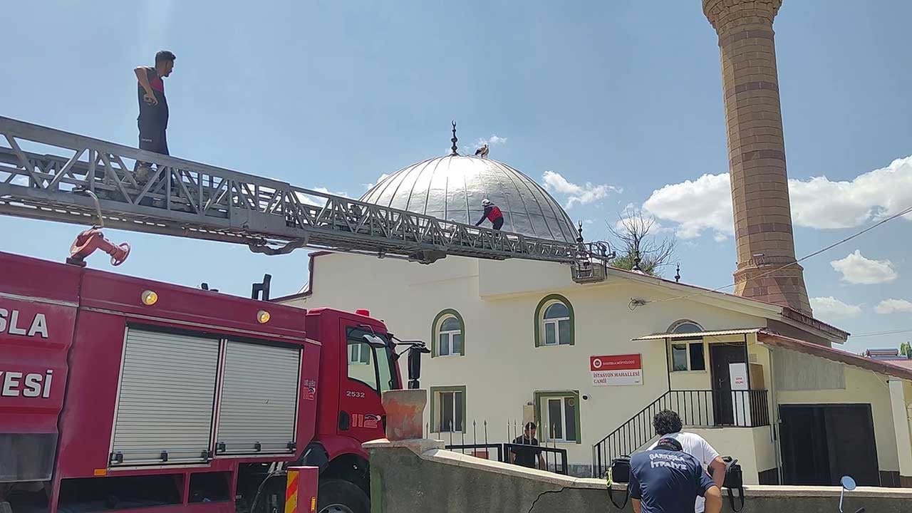 Foto - Güneşin altında bitkin düştü! Aşırı sıcaklardan bayılan leyleğe itfaiye eli uzandı!