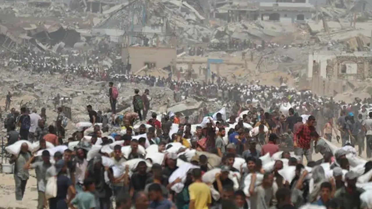 Foto - Güney Afrika'da yaklaşık 62 bin penguenin açlıktan öldüğü haberi geldi! Korkutan gelişme 