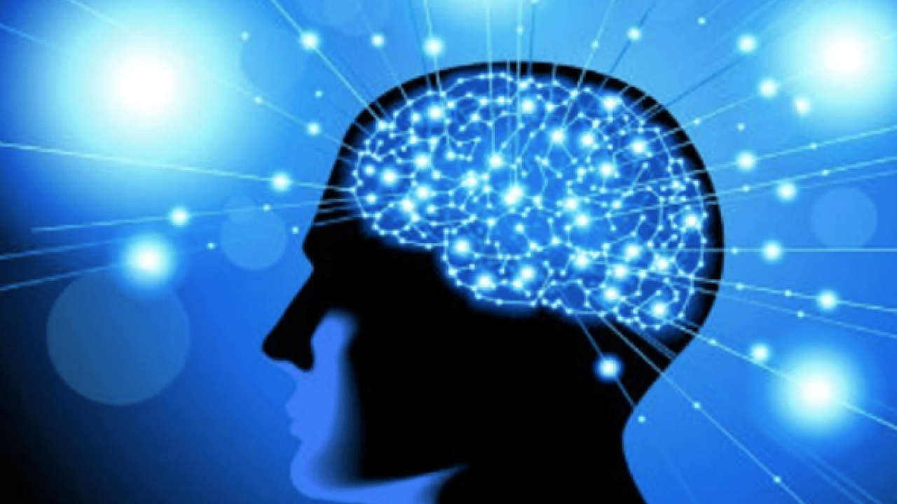 Foto - Günlük ve ölçülü olduğu müddetçe... Hafızanın mihenk taşı iki içecek: Hücre koruyucu