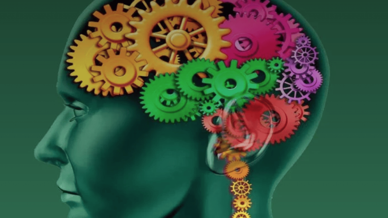 Foto - Günlük ve ölçülü olduğu müddetçe... Hafızanın mihenk taşı iki içecek: Hücre koruyucu