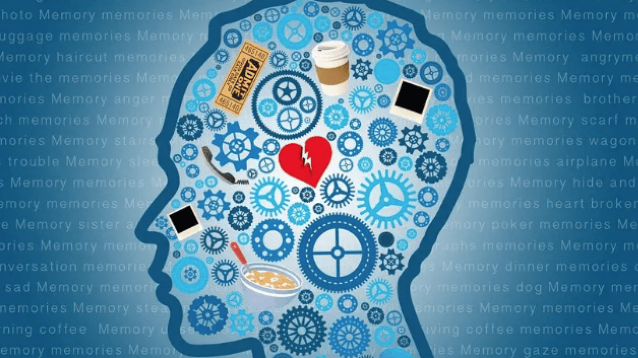 Foto - Günlük ve ölçülü olduğu müddetçe... Hafızanın mihenk taşı iki içecek: Hücre koruyucu