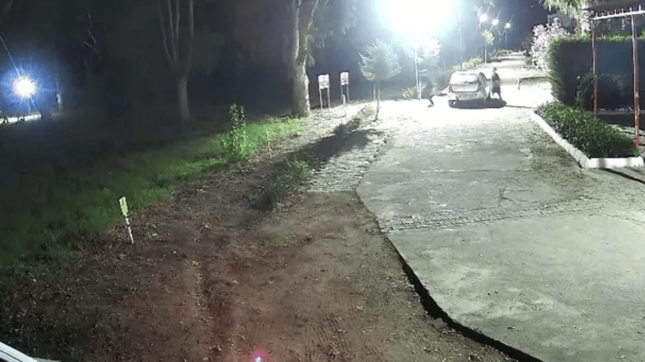 Foto - Gurbetçinin tatili mezarda bitti: Poyraz’ın katilleri hakim karşısında! 