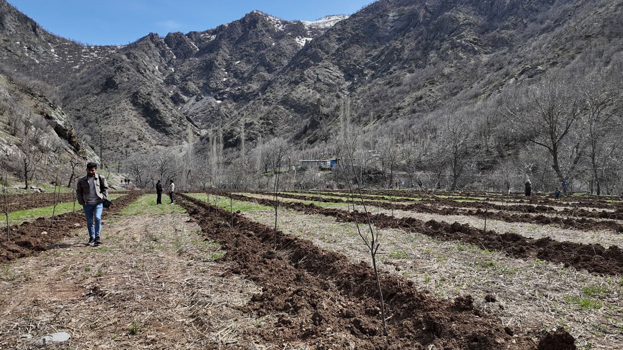 Foto - Güvenlik sorunları sebebiyle yıllarca boş kaldı! Devlet desteğiyle üretim başladı