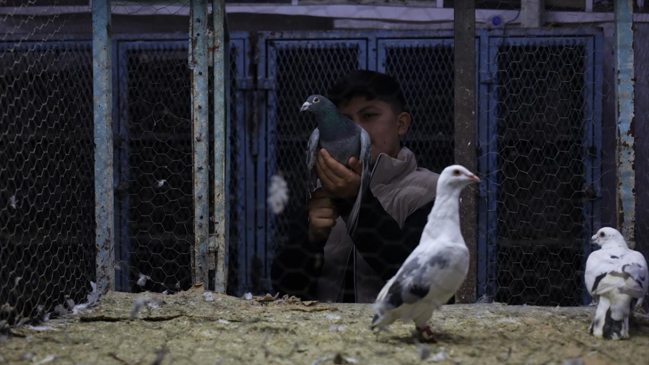 Foto - Güvercin tutkunları ‘Kuş Mezadı’nda buluşuyor