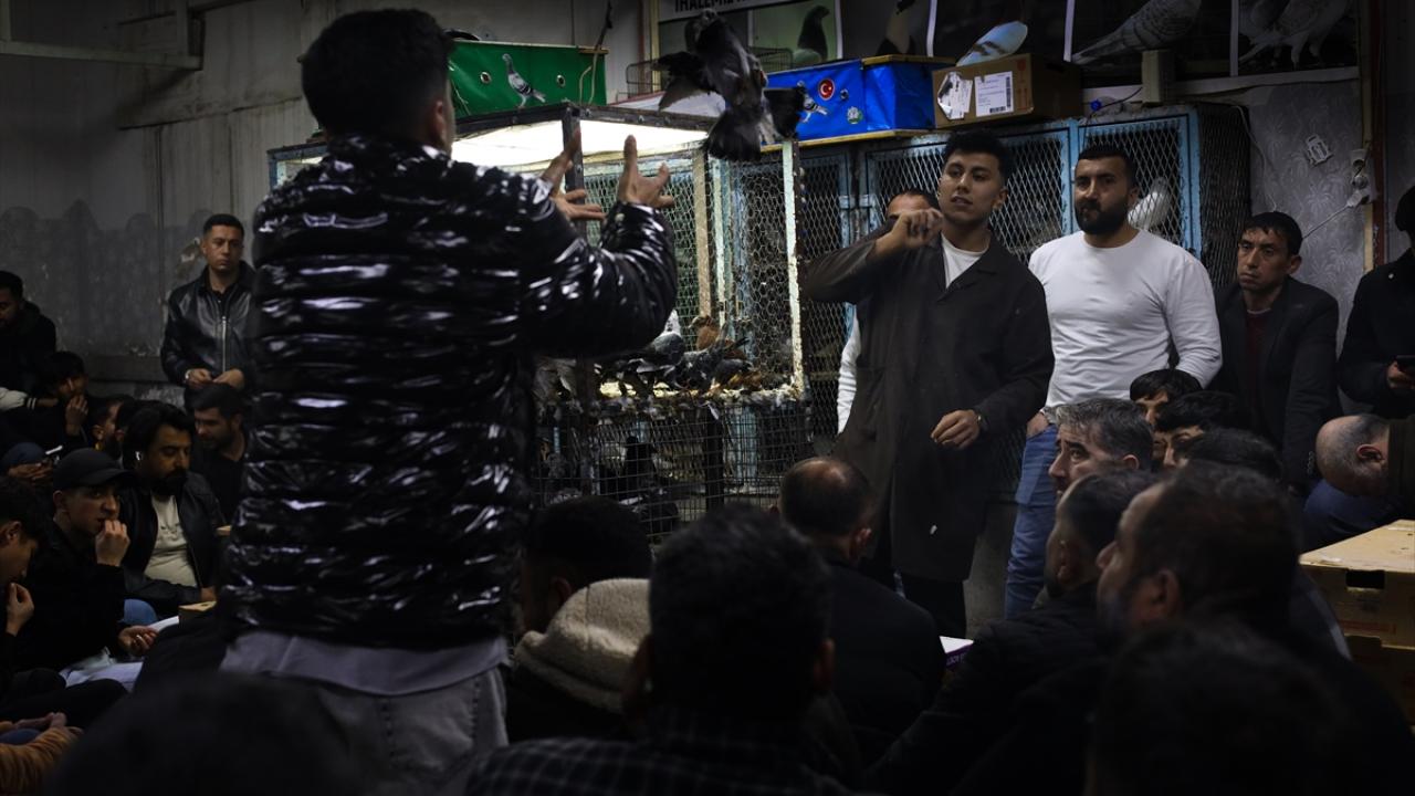 Foto - Güvercin tutkunları ‘Kuş Mezadı’nda buluşuyor