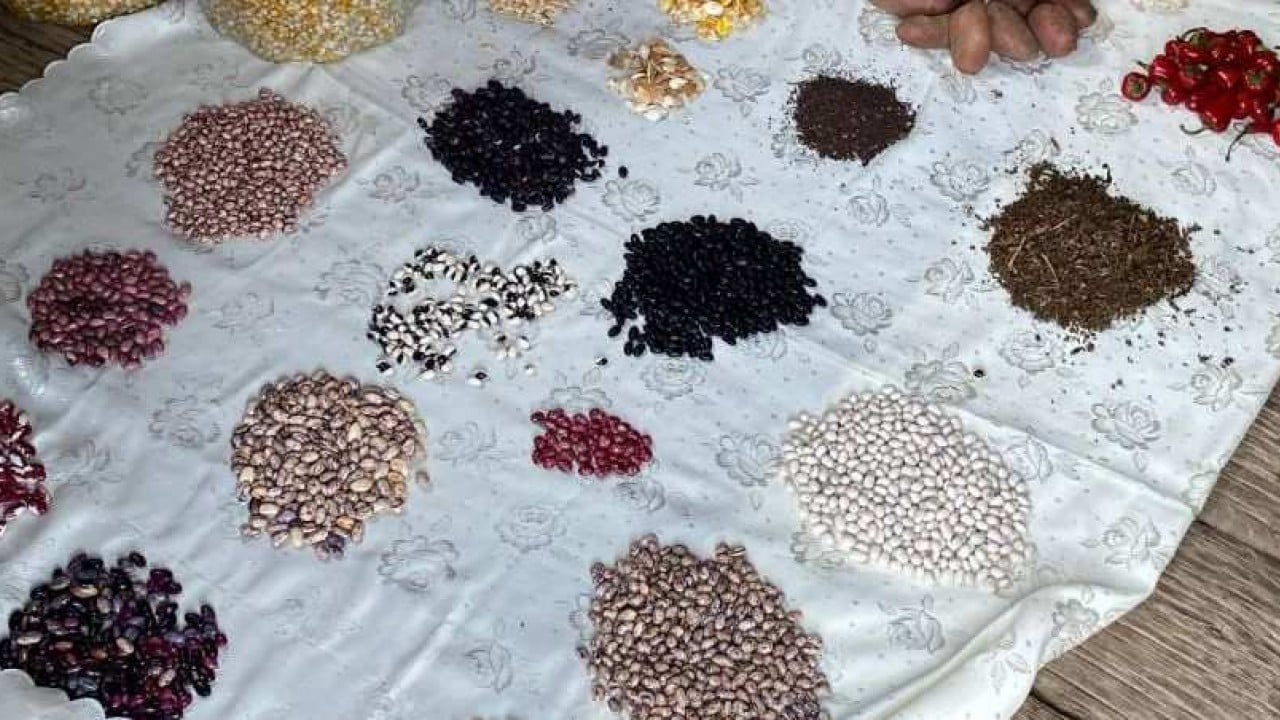 Foto - Haberi alan Tarım Kredi KOOP Marketlerine koştu: Öyle bir talep var ki, market 'stoklar azaldı' duyurusu yaptı