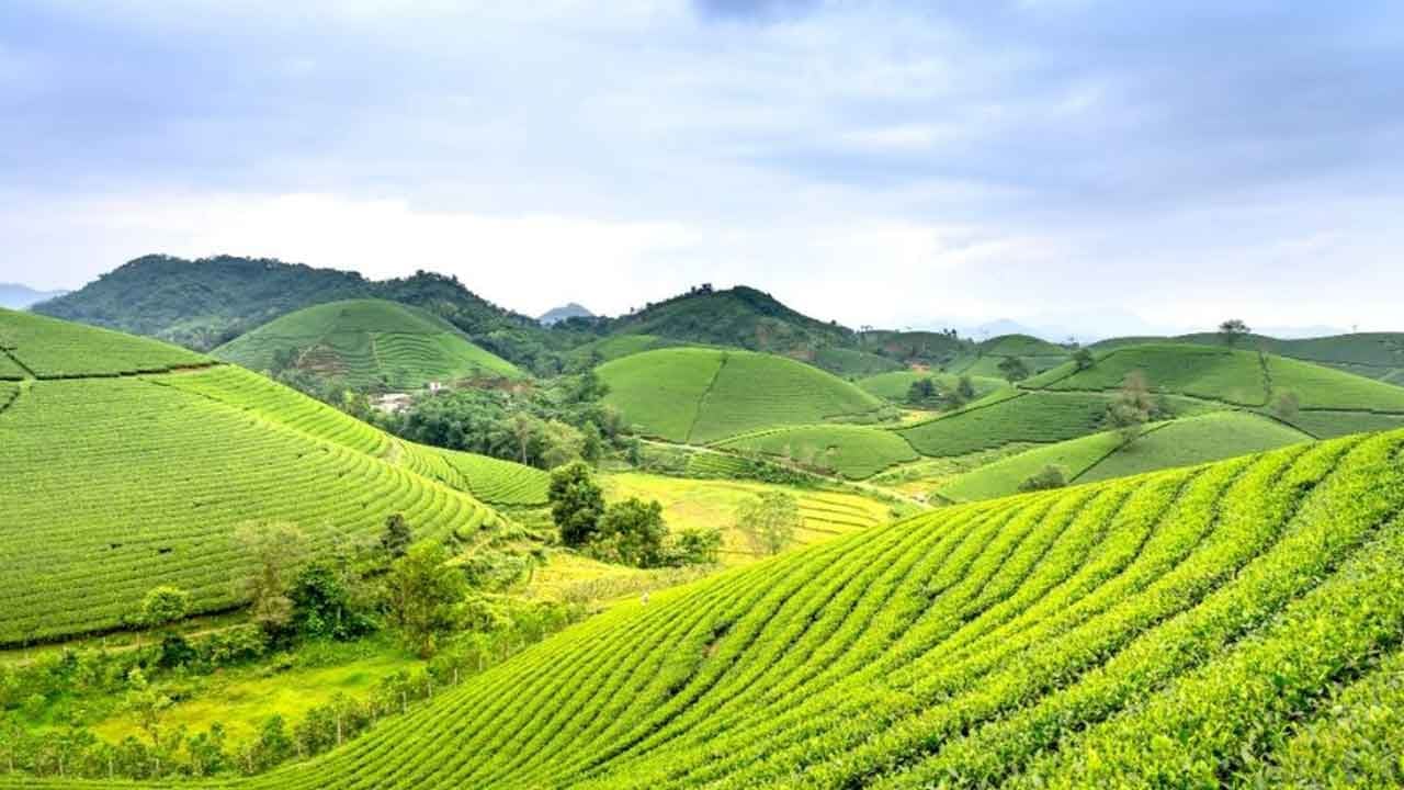 Foto - Haydi hayırlı olsun: 100 binden fazla kişi tapu sahibi olacak