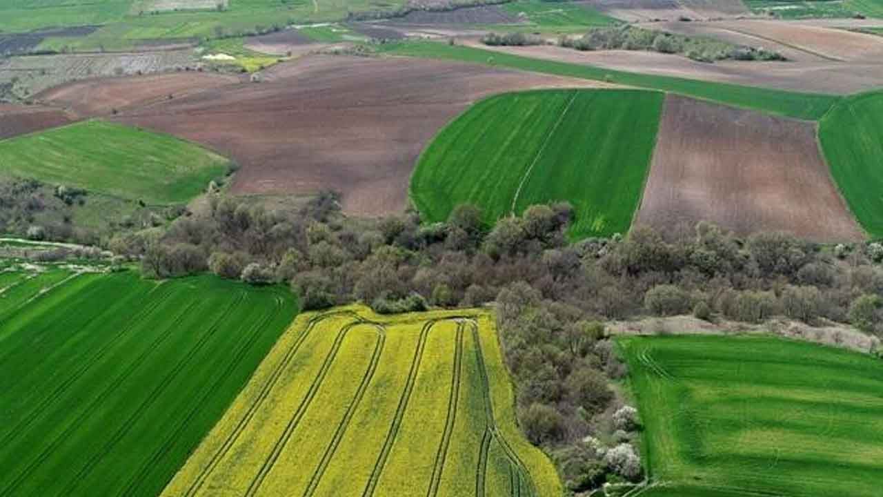 Foto - Haydi hayırlı olsun: 100 binden fazla kişi tapu sahibi olacak
