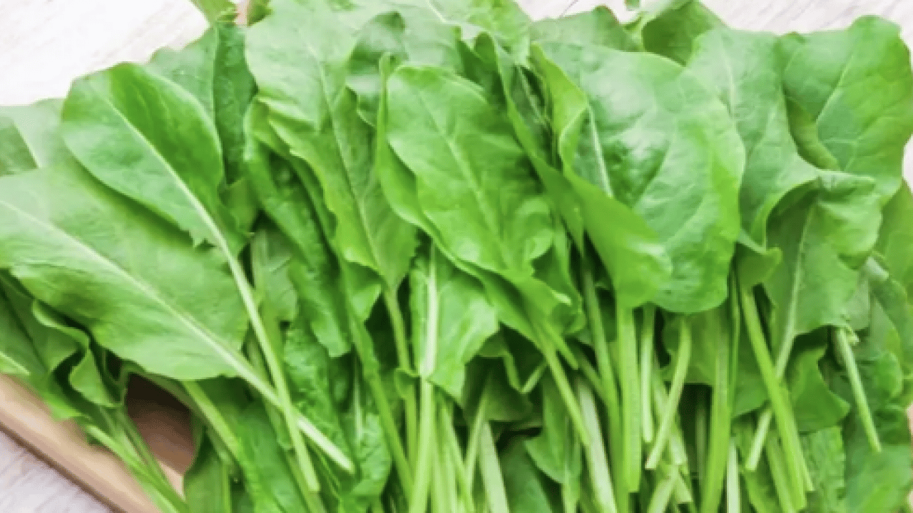 Foto - Hafif ekşimsi aromasıyla... Pekmeze rakip o bitki: Demir depoları doluyor