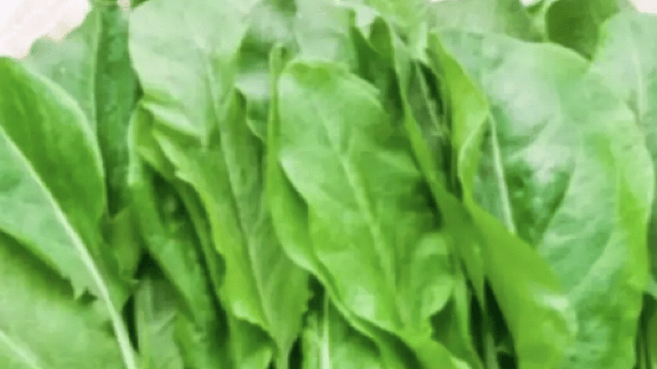 Foto - Hafif ekşimsi aromasıyla... Pekmeze rakip o bitki: Demir depoları doluyor