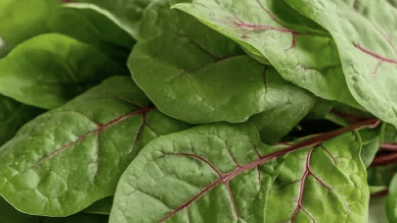 Foto - Hafif ekşimsi aromasıyla... Pekmeze rakip o bitki: Demir depoları doluyor