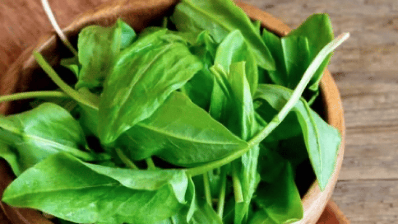 Hafif ekşimsi aromasıyla... Pekmeze rakip o bitki: Demir depoları doluyor