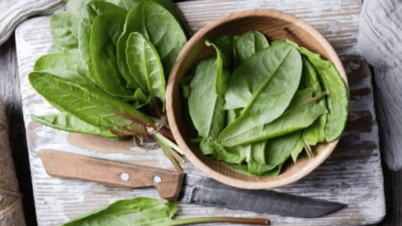 Foto - Hafif ekşimsi aromasıyla... Pekmeze rakip o bitki: Demir depoları doluyor