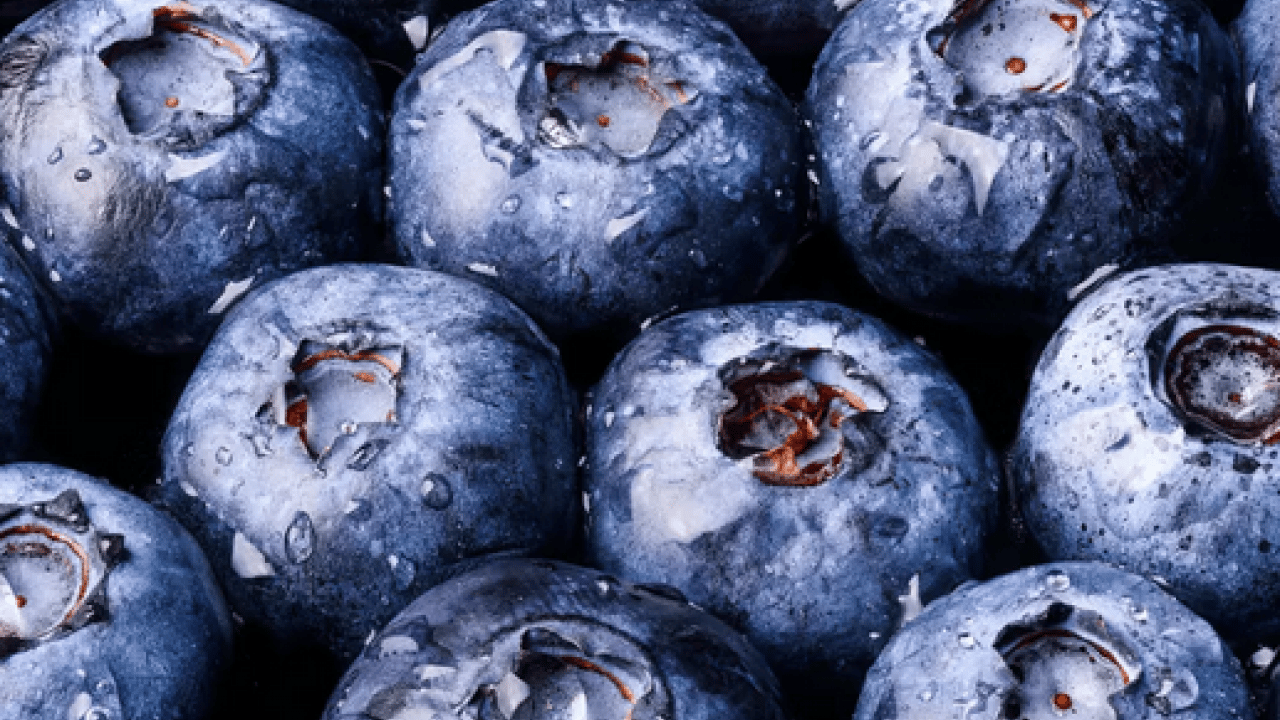 Foto - Hafıza ve zihinsel performans... Unutkanlığın fişini çekiyor! Hafızanın ilacı bu 3 meyvede