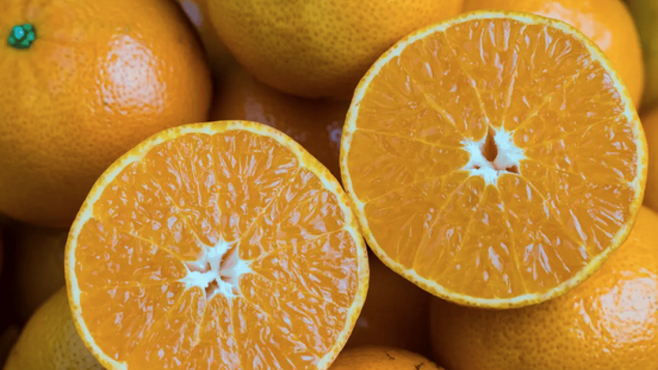 Foto - Hafıza ve zihinsel performans... Unutkanlığın fişini çekiyor! Hafızanın ilacı bu 3 meyvede