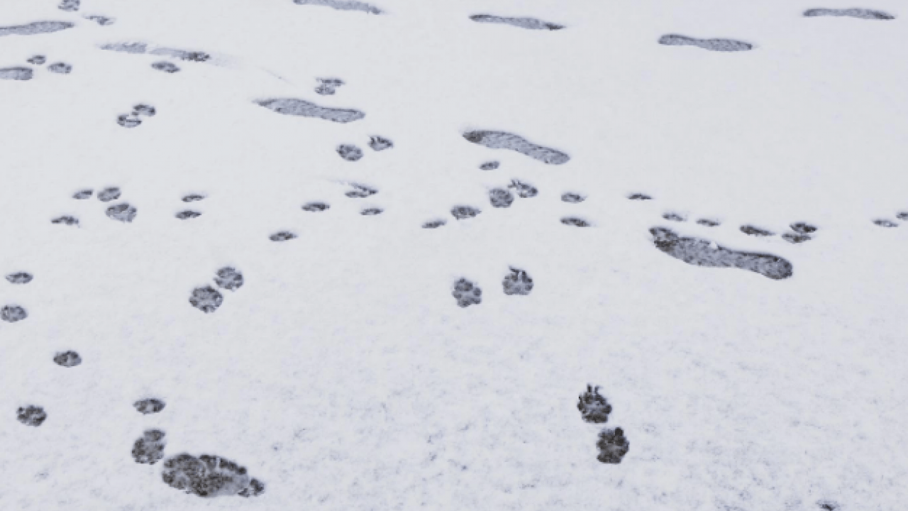 Foto - Hafta sonu hava sıcaklığı düşecek! İşte beyaz gelinliği giyecek şehirler