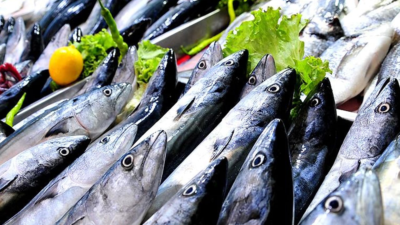 Haftada bir değil iki kez balık tüketin! Yerli sazan balıkları kapış kapış alıyorlar! Uzmanlar omega-3 ile ilgili uyarı yaptı