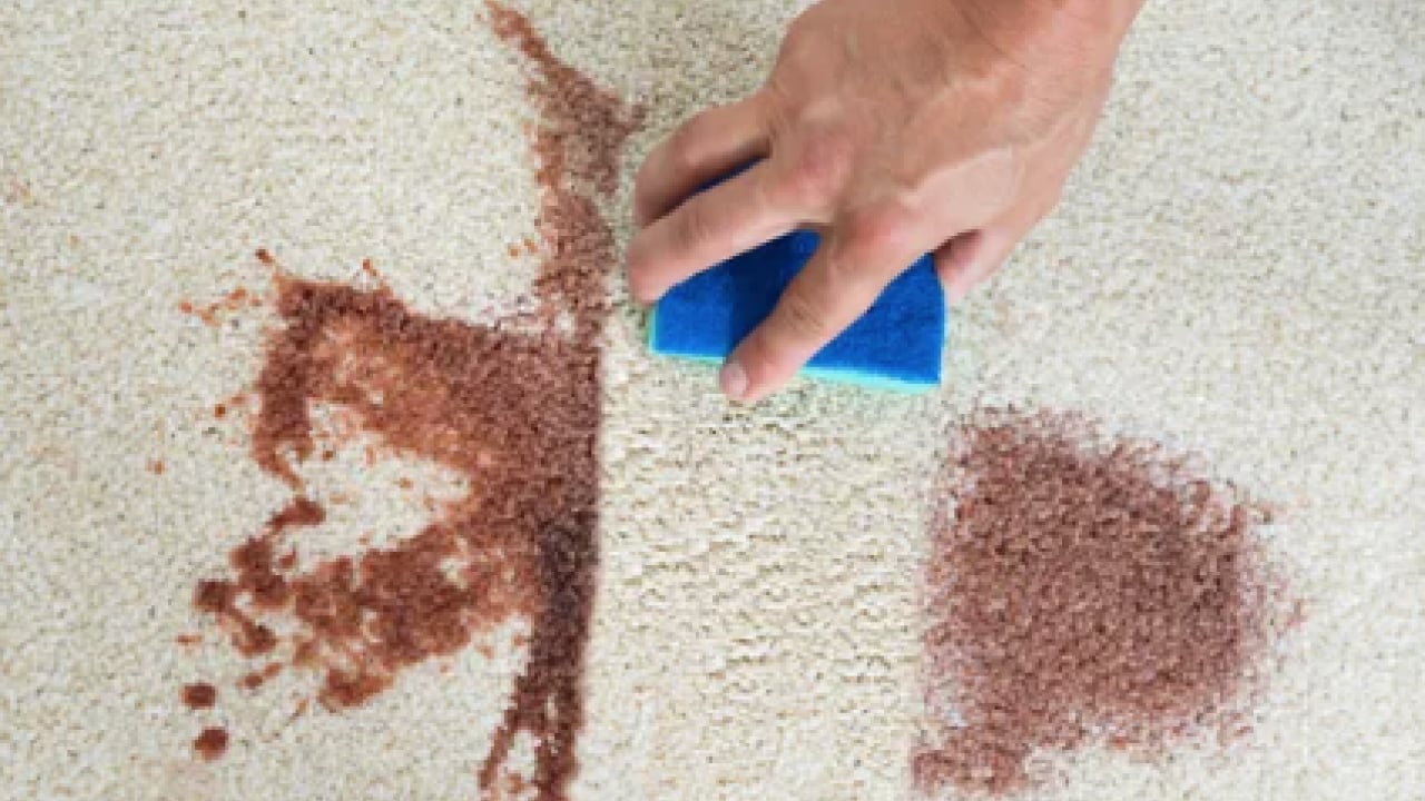 Foto - Halıdaki lekeleri saniyeler içinde yok eden formül! Ovalamaya gerek yok ki...