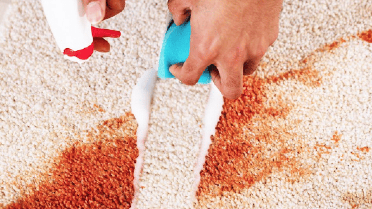 Foto - Halıdaki lekeleri saniyeler içinde yok eden formül! Ovalamaya gerek yok ki...